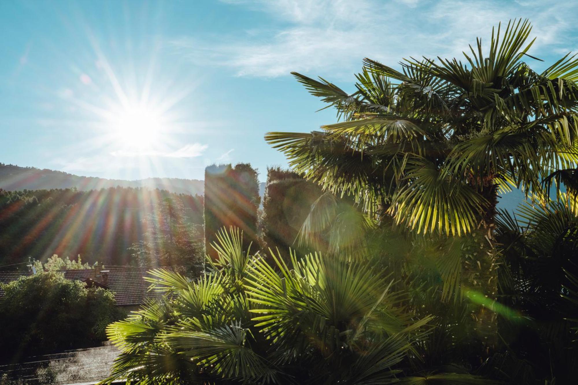 Tirolensis Otel Tesimo Dış mekan fotoğraf